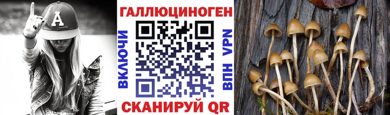 Псилоцибиновые грибы мицелий  цены   Туринск 